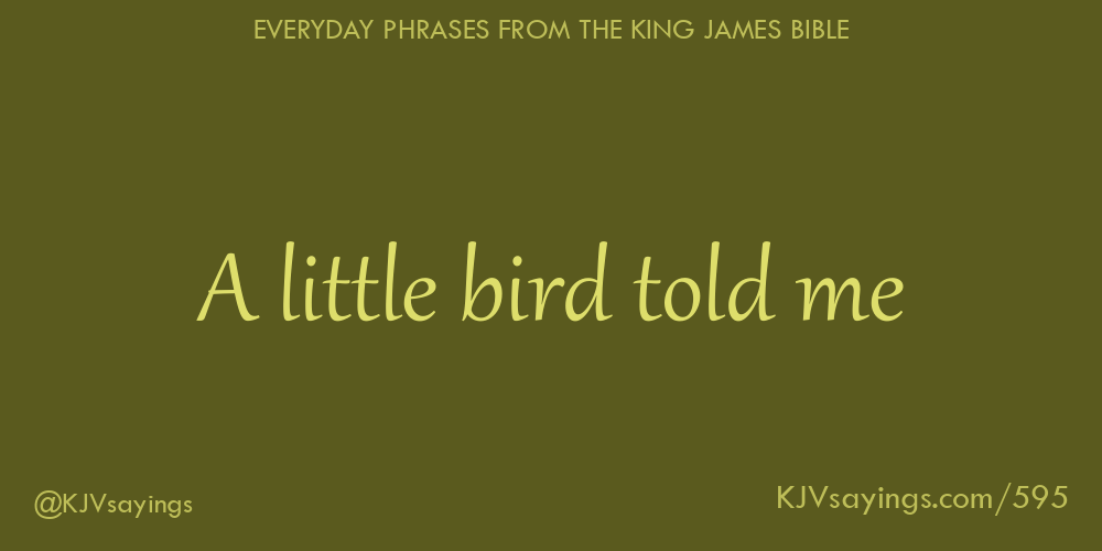 &ldquo;A little bird told me&rdquo;