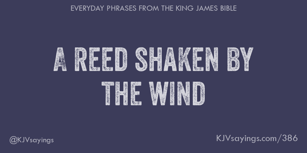 A reed shaken by the wind King James Bible (KJV) sayings