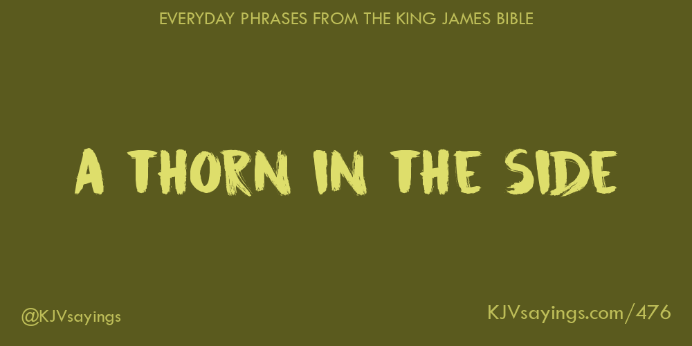&ldquo;A thorn in the side&rdquo;