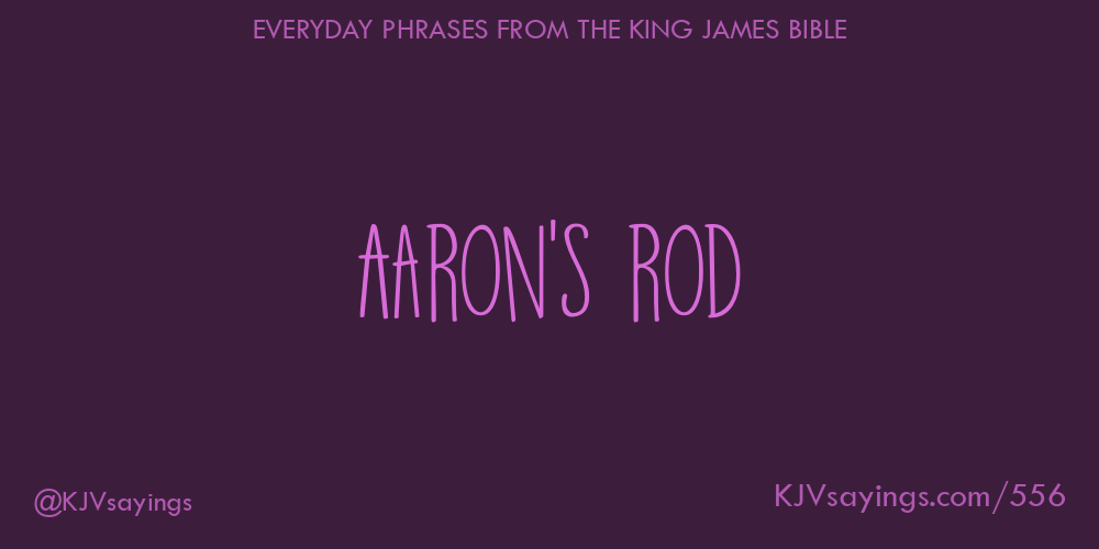 &ldquo;Aaron&rsquo;s rod&rdquo;