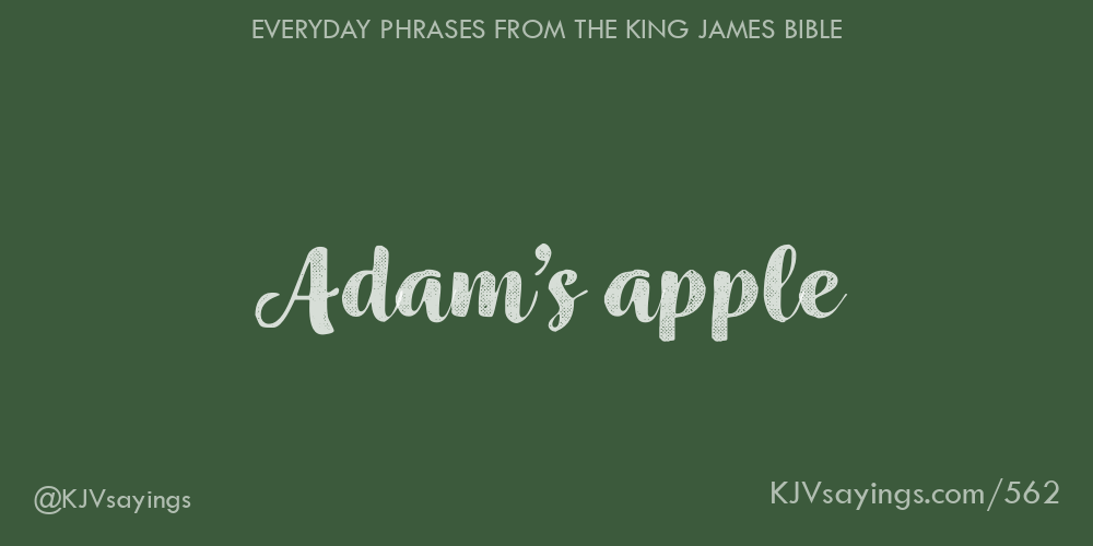 Adam’s apple King James Bible (KJV) sayings