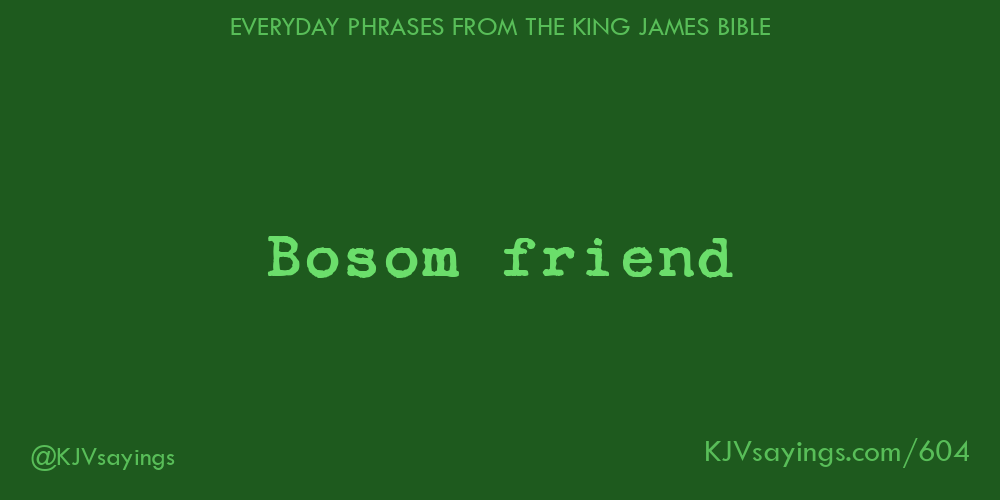 &ldquo;Bosom friend&rdquo;