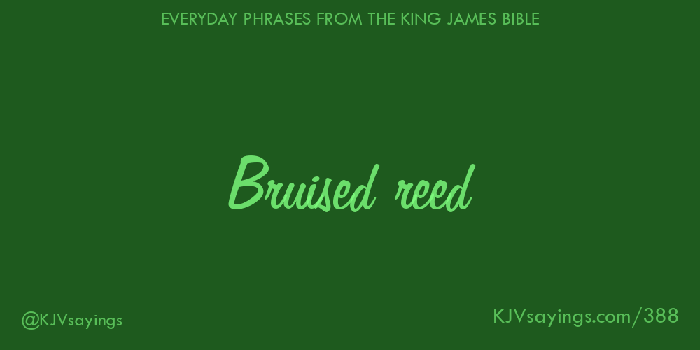 &ldquo;Bruised reed&rdquo;