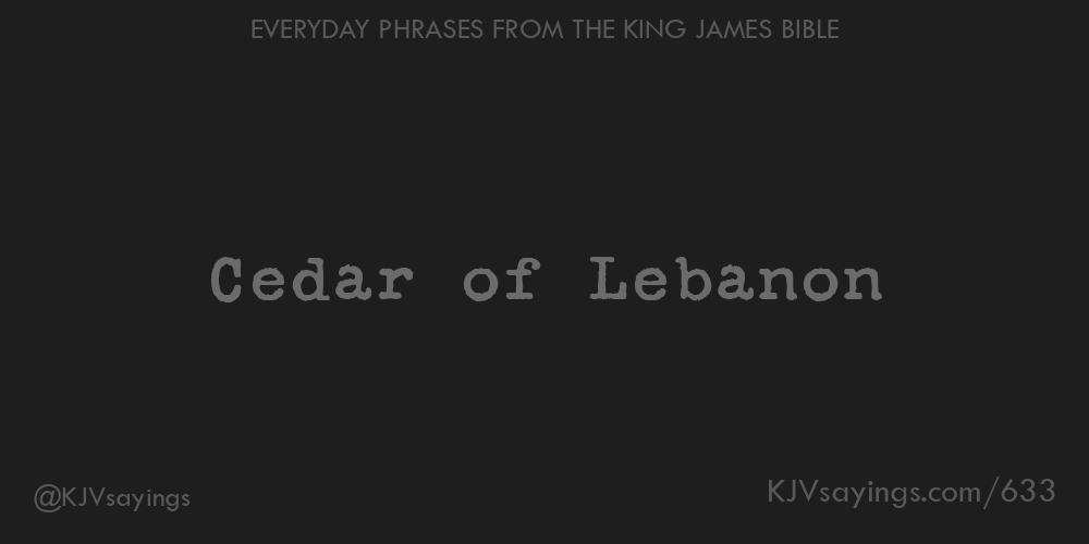 “Cedar of Lebanon”