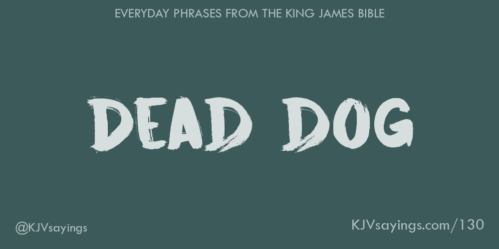 Dead dog King James Bible (KJV) sayings