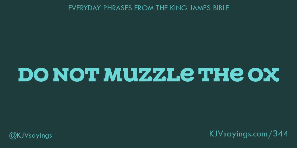 &ldquo;Do not muzzle the ox&rdquo;