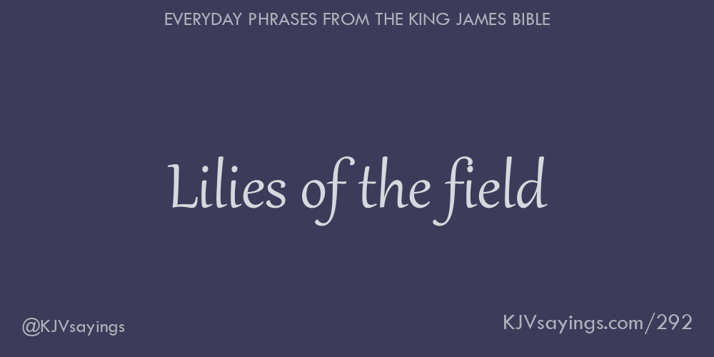 Lilies of the field King James Bible (KJV) sayings