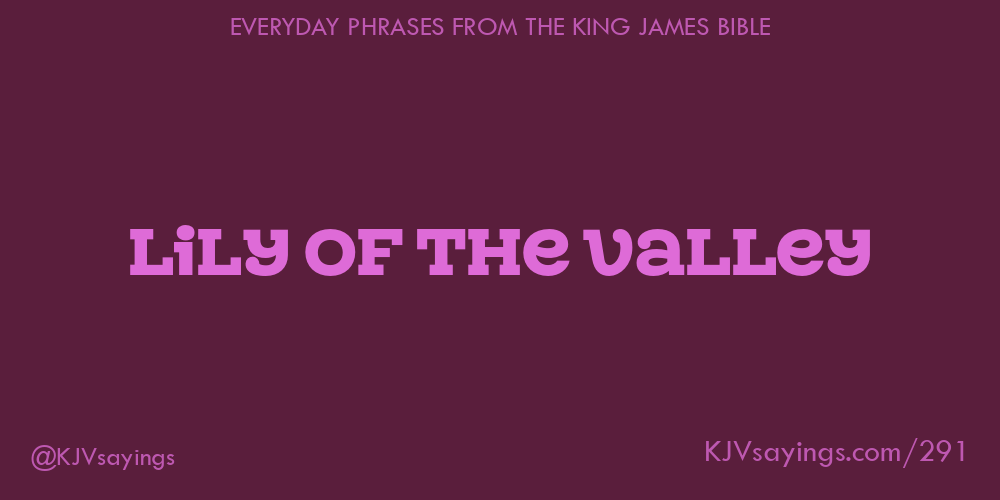 Lily of the valley King James Bible (KJV) sayings