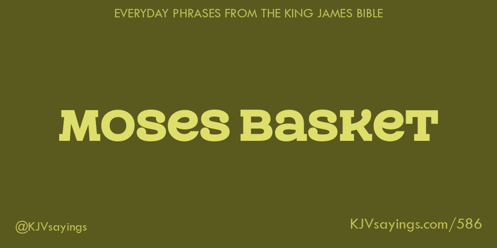 Moses basket King James Bible (KJV) sayings