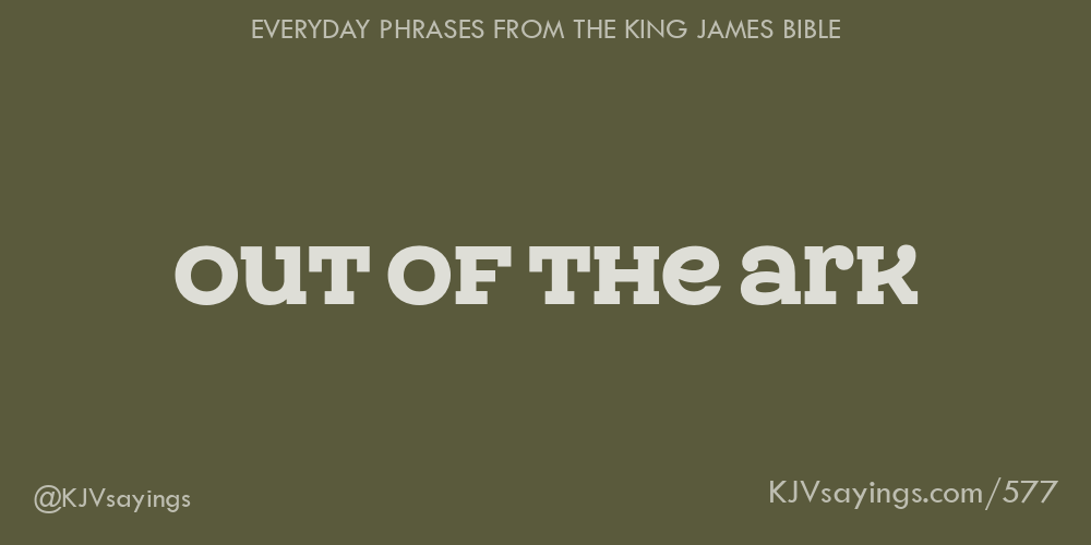 out out of the ark