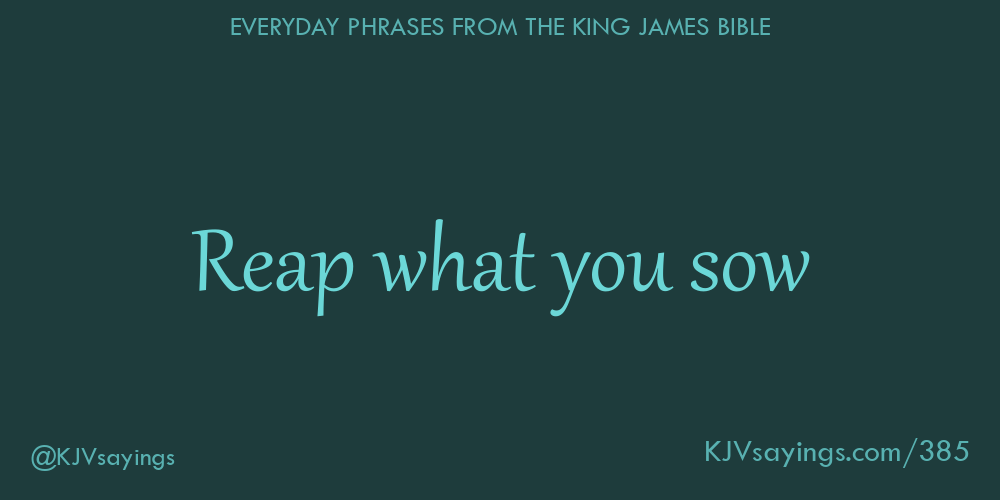 &ldquo;Reap what you sow&rdquo;