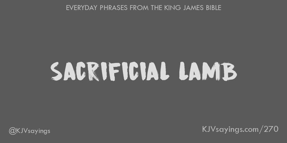 “Sacrificial lamb”