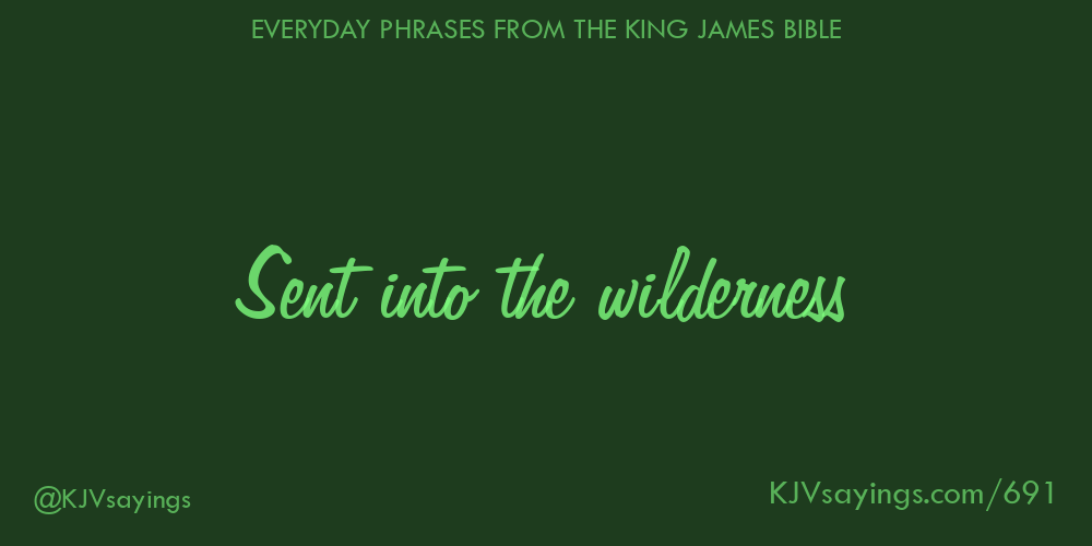 “Sent into the wilderness”