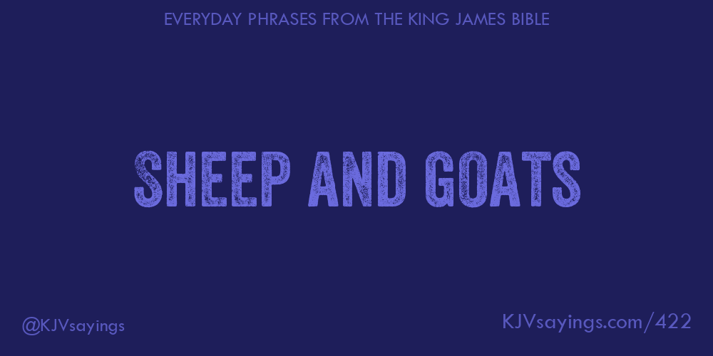 &ldquo;Sheep and goats&rdquo;