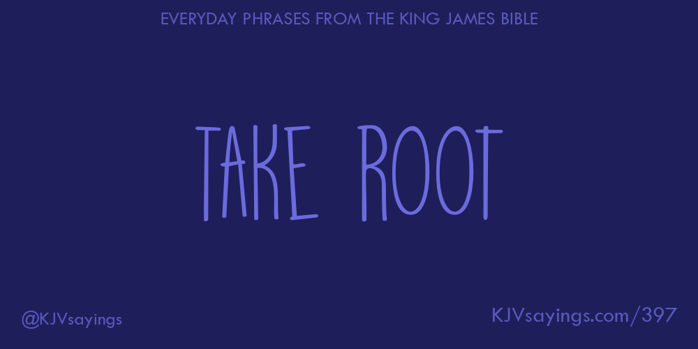 &ldquo;Take root&rdquo;
