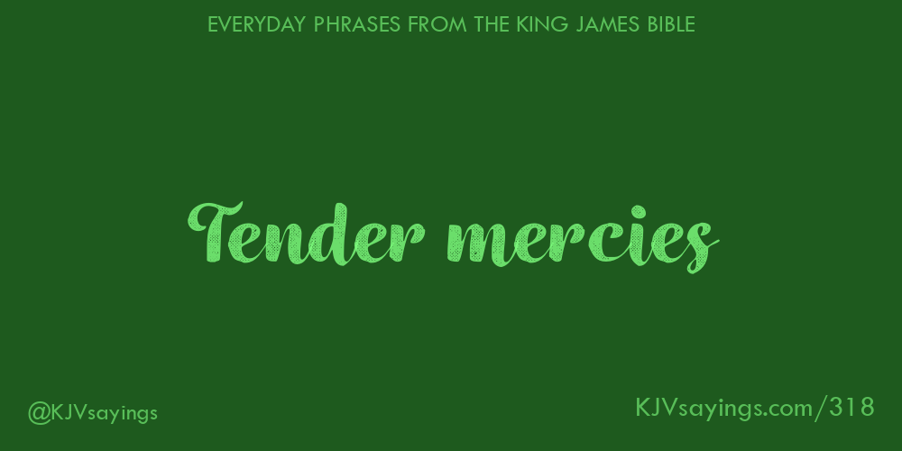 the mercies paperback the mercies paperback
