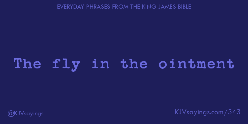 The fly in the ointment King James Bible (KJV) sayings