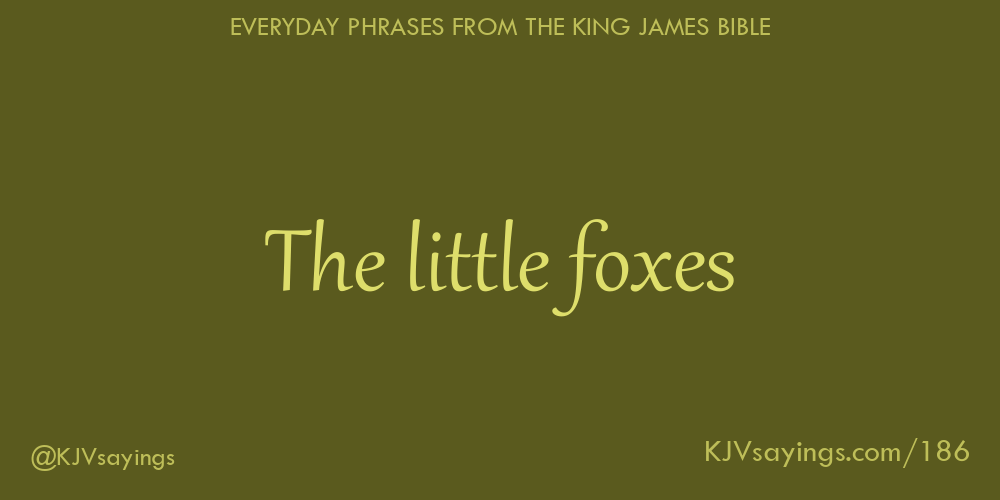 &ldquo;The little foxes&rdquo;