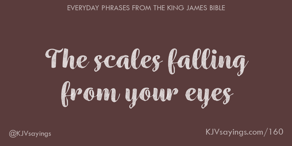 The Scales Fall From Someone's Eyes at Yolanda Marco blog