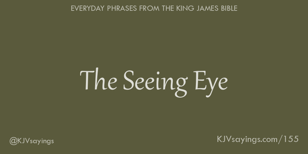 &ldquo;The Seeing Eye&rdquo;