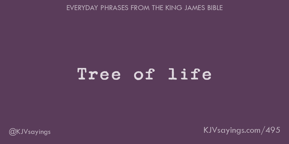 &ldquo;Tree of life&rdquo;