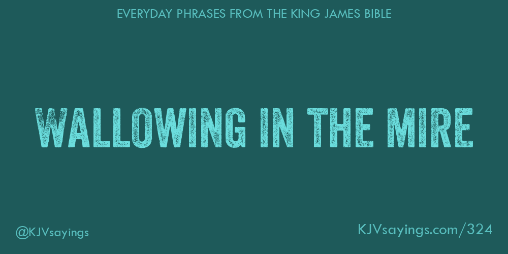 &ldquo;Wallowing in the mire&rdquo;